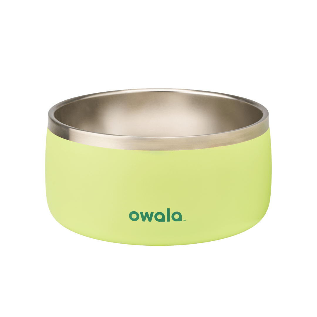 Pet Bowl cvnae