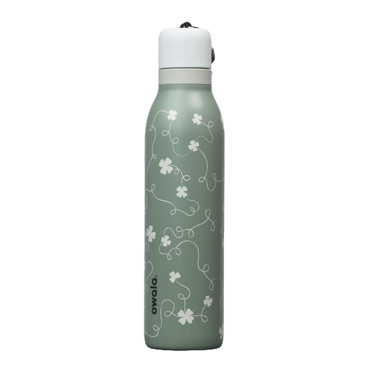 Clover Achiever q49wp
