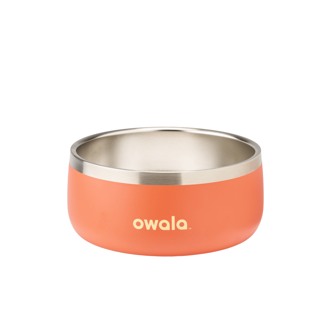 Pet Bowl cvnae