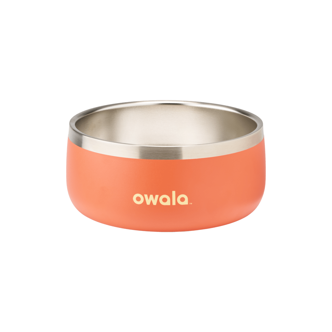 Pet Bowl cvnae