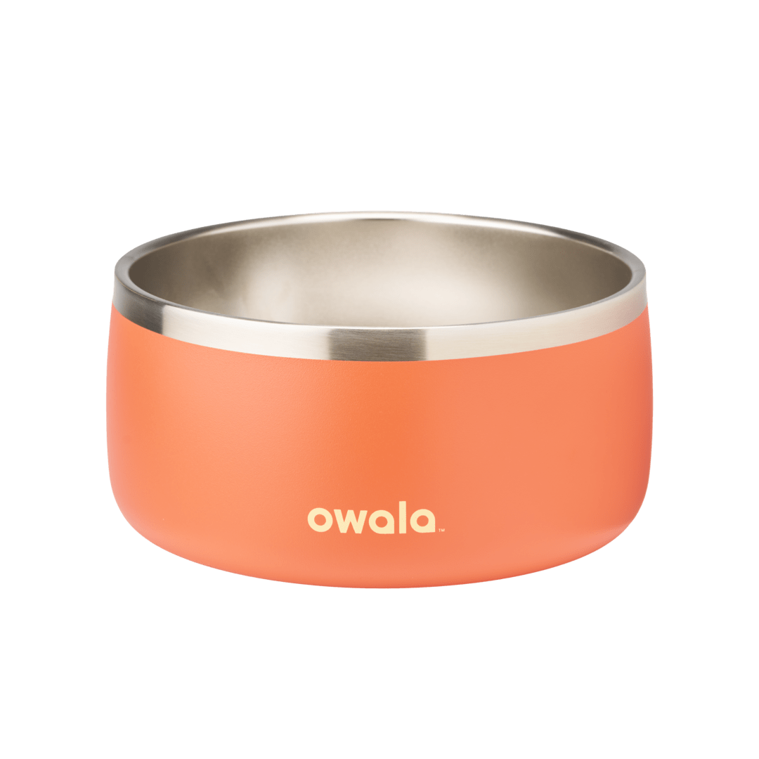 Pet Bowl cvnae