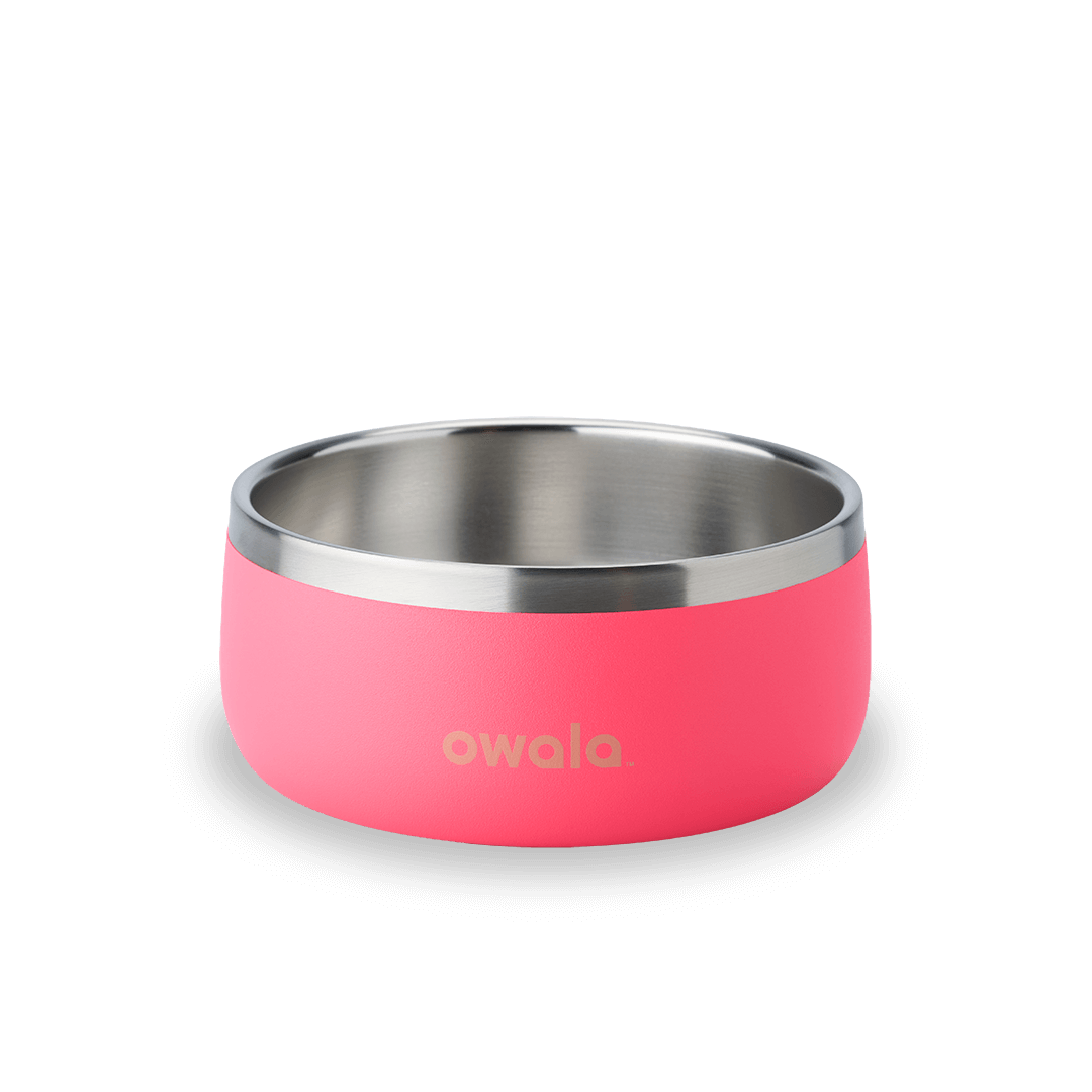 Pet Bowl cvnae