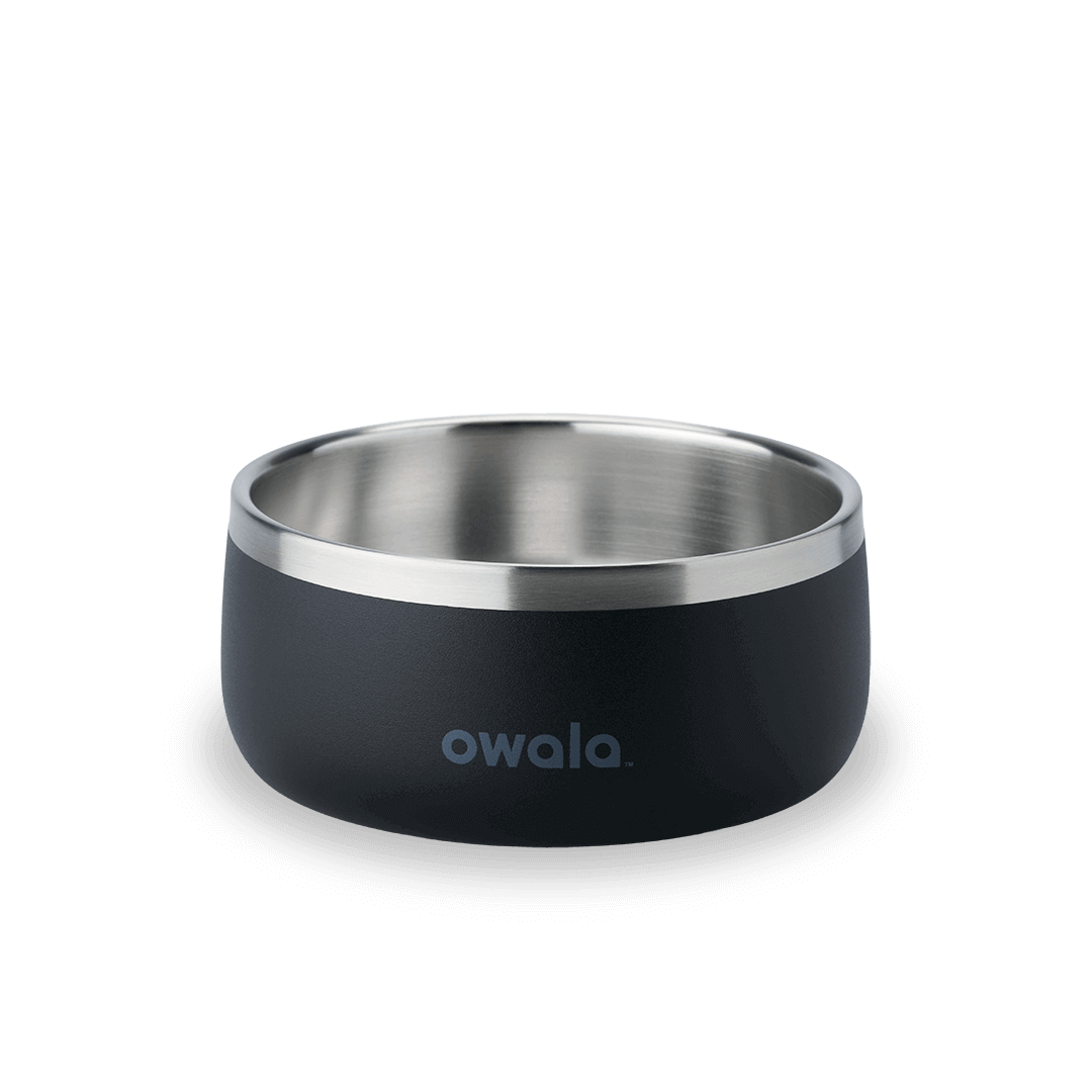 Pet Bowl cvnae