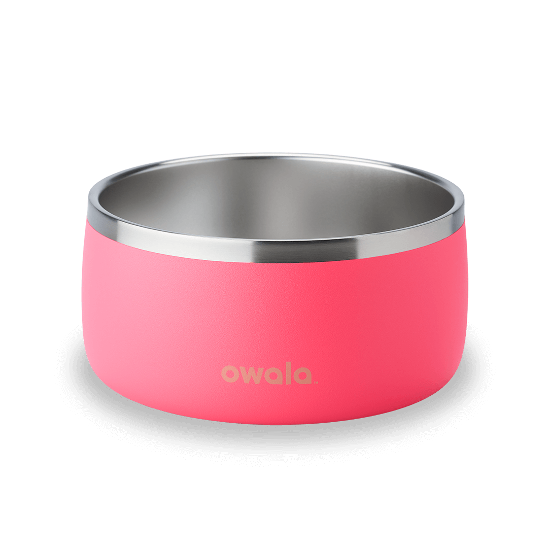 Pet Bowl cvnae